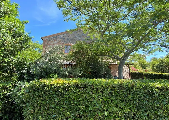 Appartement Talpa-18 By Interhome Riparbella